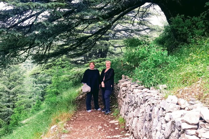 Guided Full-Day Private Trip to Cedars, Baalbek and Chateau Ksara