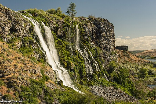 Guided Half-Day Tour Scenic Adventure & Wine Tasting Tour