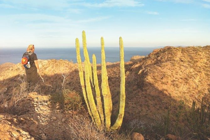 2 Best Guided Tours In Loreto