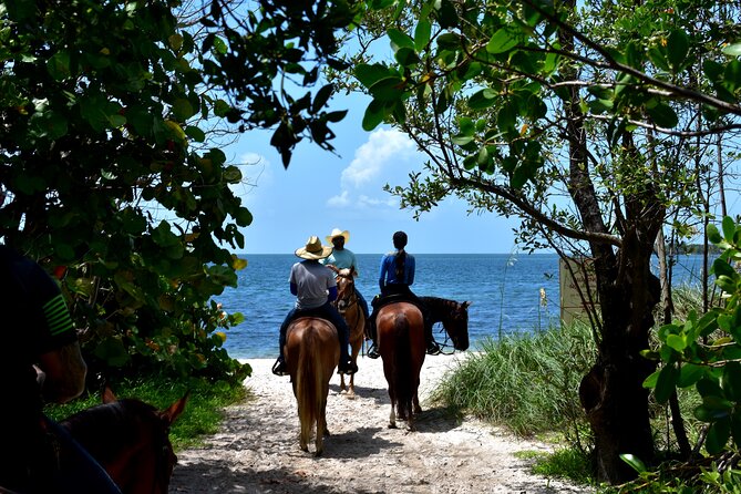 Guided Horseback Riding on The Pristine Waters of Miami Florida