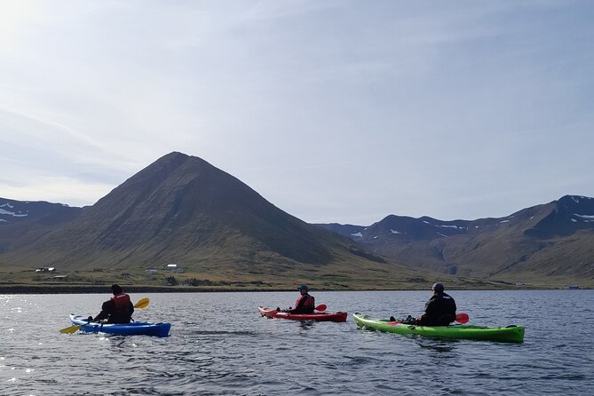 Guided Kayak Tour in Siglufjordur.