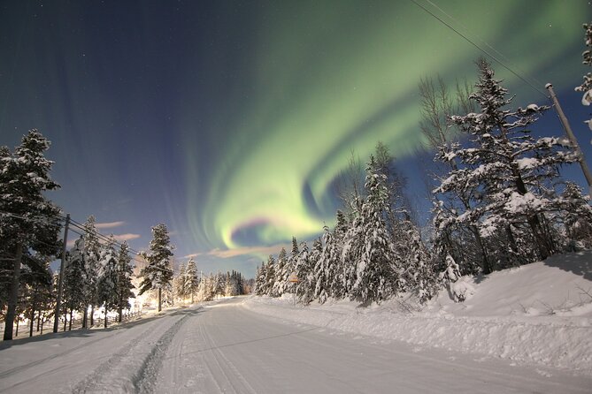 Guided Northern Lights Tour at Kiruna