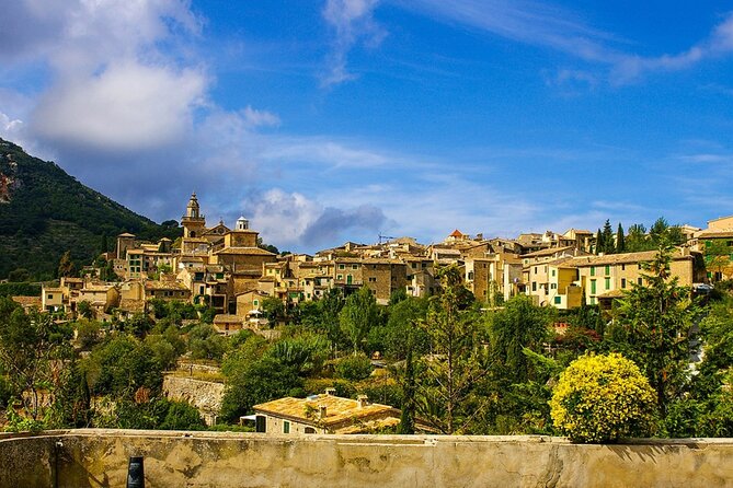 Guided Route Through Palma With Cathedral and Visit to Valldemossa (4h)