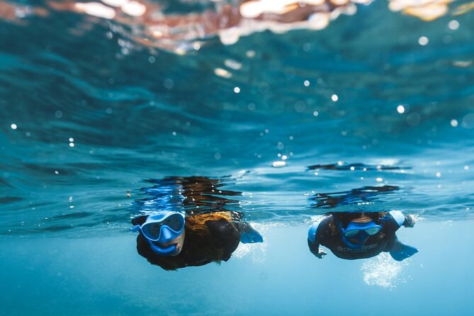 Guided Snorkeling Activity in Papagayo Beach Lanzarote