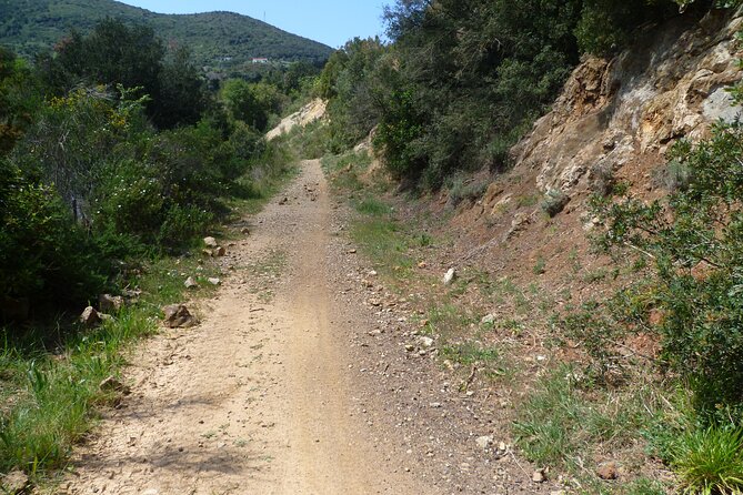 3 Best Guided Tours in Isola Delba