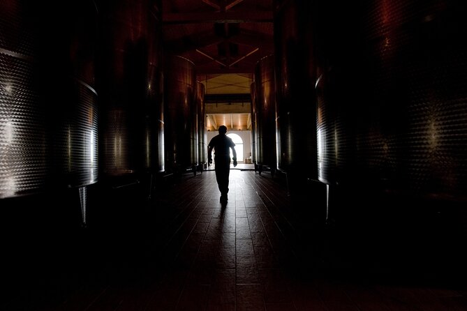 Guided Tour Cleto Chiarli With Lambrusco Tasting