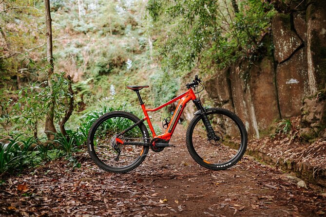Guided Tour Electric Mountain Bike Experience Review