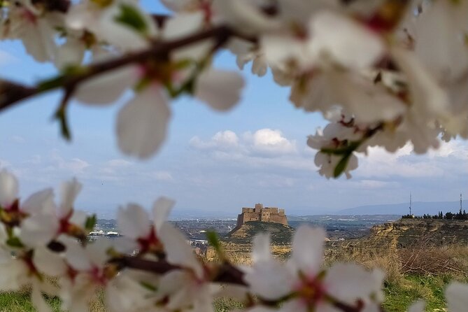 2 Best Tours In Aragon