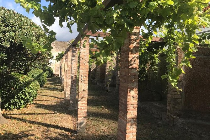 Guided Tour of the Pompeii Excavations From the Amalfi Coast