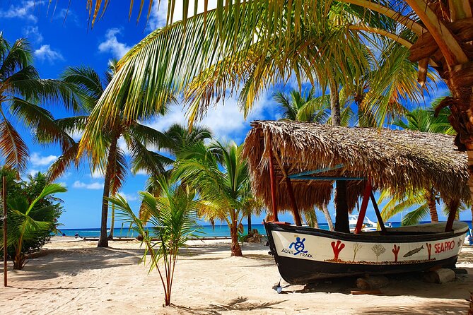Guided Tour to Saona Island From Punta Cana