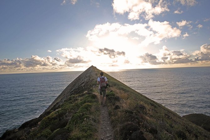 Best Guided Tours In Plymouth
