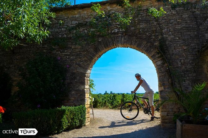 Guided Week Bike Tour in France, Burgundy Wine Region