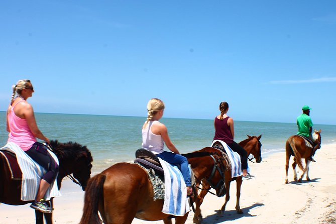 Half Day Beach Horseback Riding in Ocho Rios + Lunch - Tour Overview