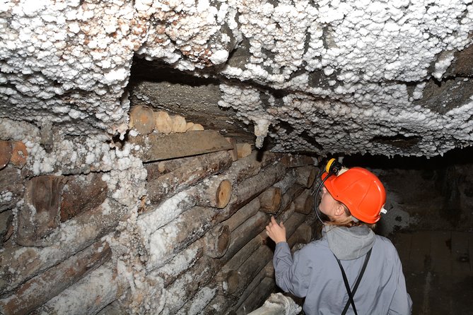 Half-Day Bochnia Salt Mine Private Guided Tour From Krakow - Tour Overview