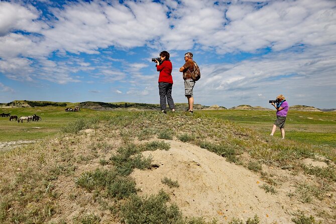 Half Day Chasing Horses Wildlife Photography Experience in North Dakota