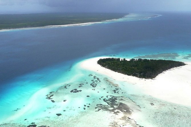 Half-Day Dolphin & Snorkeling Tour in Mnemba Island Zanzibar
