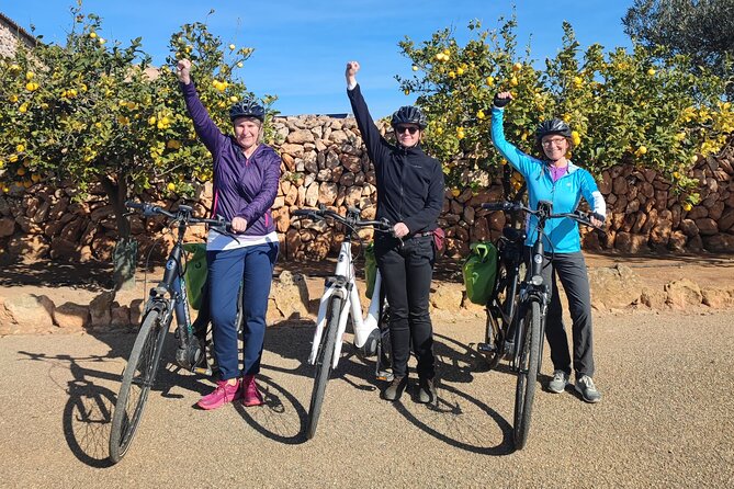 Half-Day E-Bike Tour Around the Hexenberg