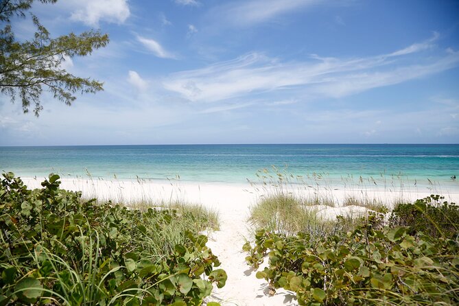 Half Day Eleuthera Private Land Tour