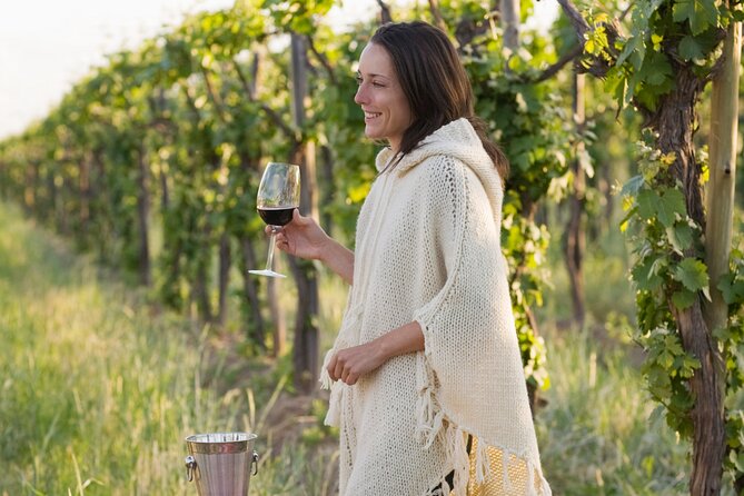 Half-Day Gramma Wine Tasting Tour in Iasi