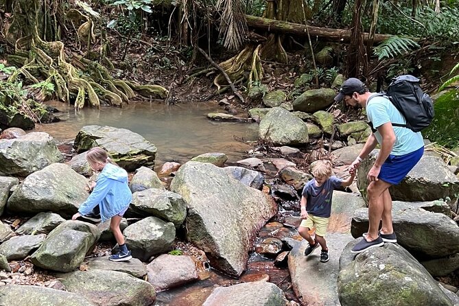 Half Day Guided Tour in El Yunque With Pick up