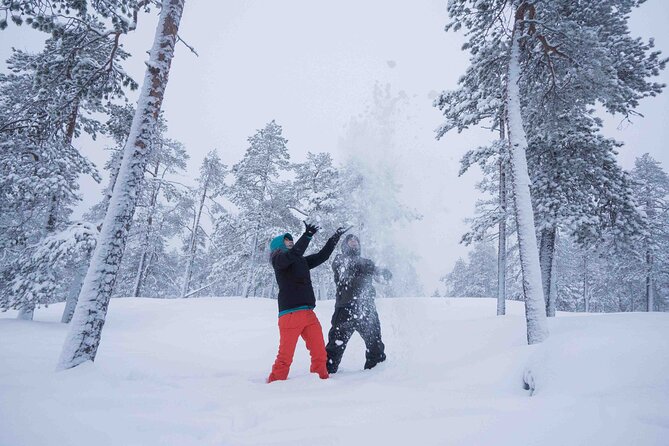 2 Best National Park Tours In Levi