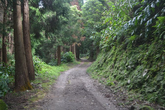 Half Day Hike Tour Lagoa Do Fogo Trail