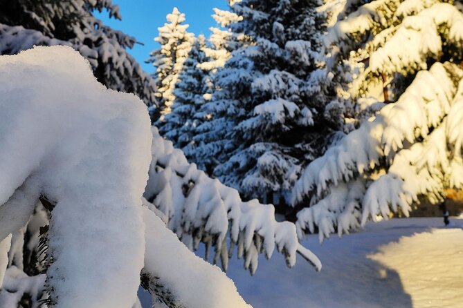 Best Guided Tours In Borovets