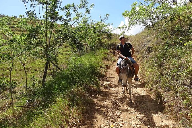 Half-Day Horseback Riding Tour in El Limón