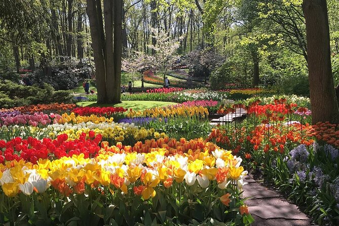 Half Day Keukenhof Tulip Paradise Trip From Amsterdam - Trip Overview