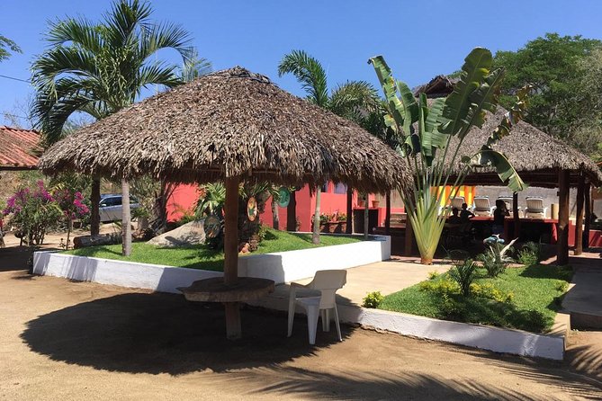 3 Best Tours In Manzanillo