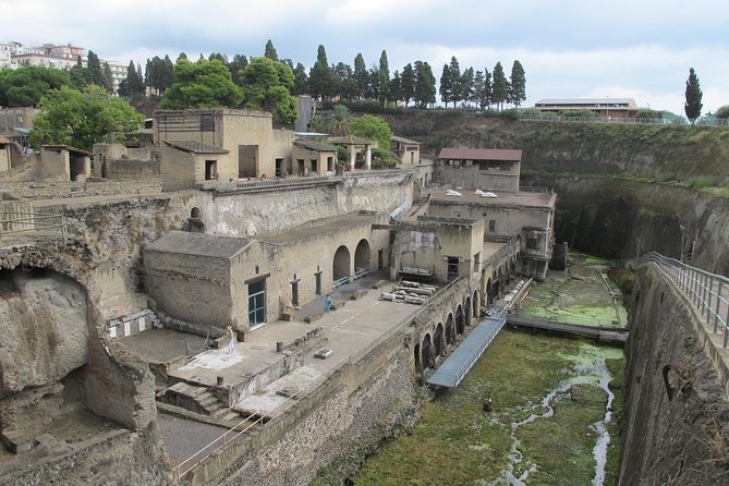 Half Day Morning Tour of Herculaneum From Sorrento - Tour Overview and Details