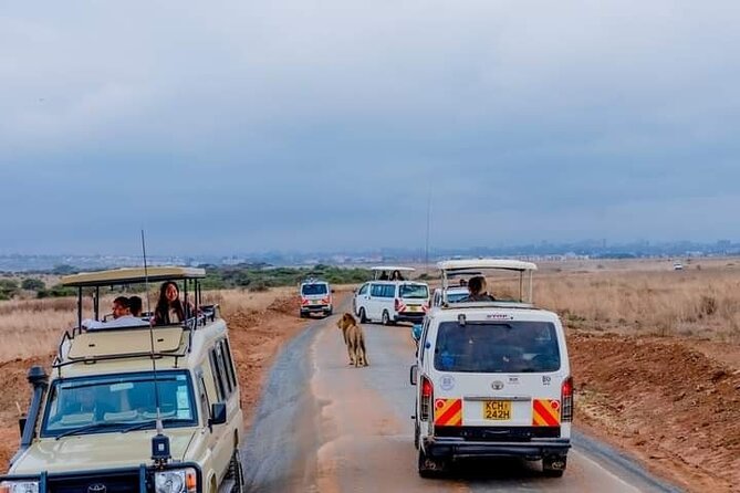 Half Day Nairobi National Park Private Safari