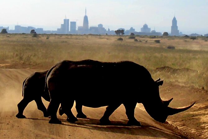 Half-Day Nairobi National Park Private Tour With Admission