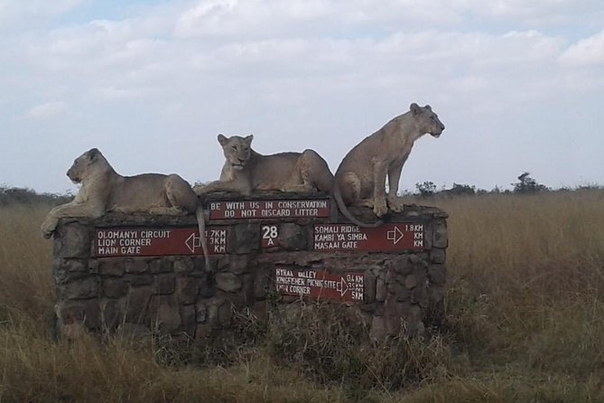 Half Day Nairobi National Park