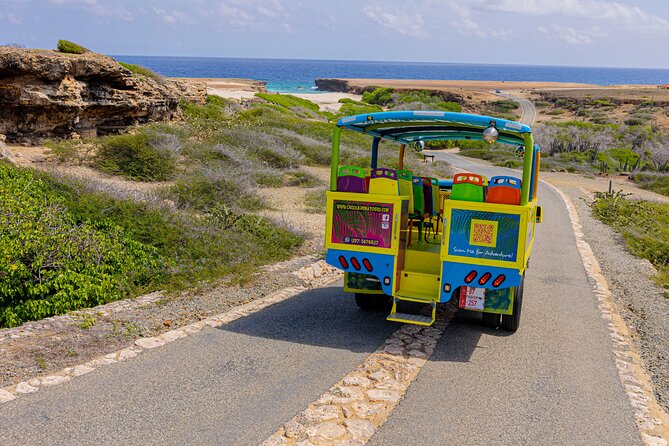 Half Day National Park Safari Tour and Baby Beach