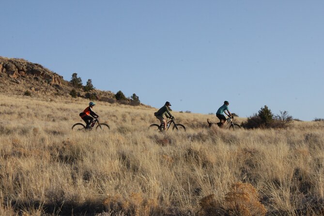 Half Day Private Bike Tour in Del Norte - Tour Overview and Pricing