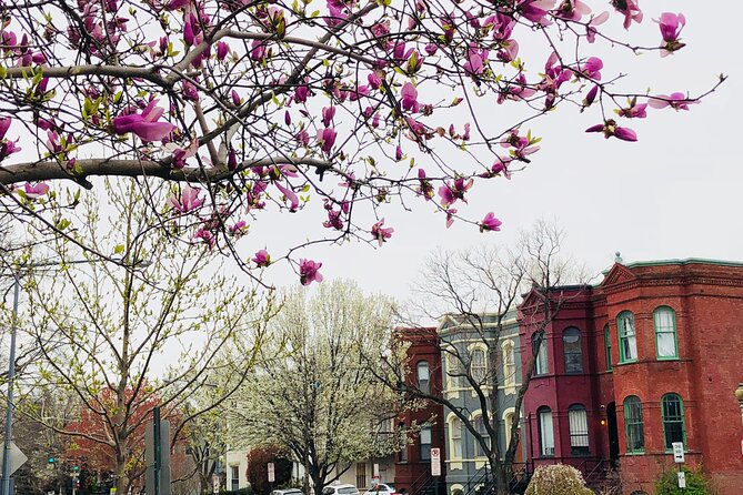 Half-Day Private Guided Bike Tour in Washington