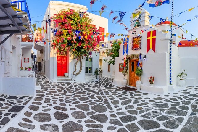 Half Day Private Tour in Mykonos Island