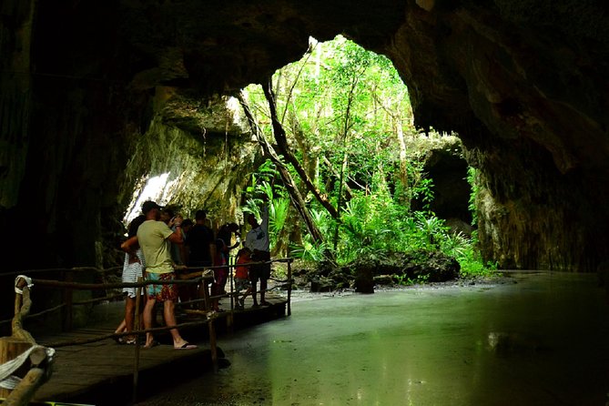 Half-Day Sea Turtle and Cenote Snorkeling Tour From Cancun & Riviera Maya