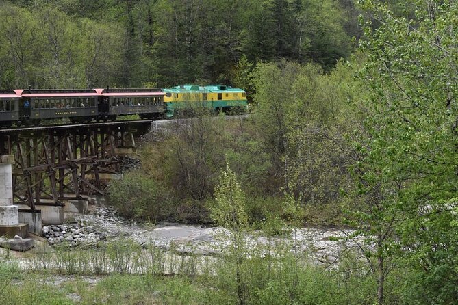 Half-Day Skagway City Tour and White Pass Summit Adventure