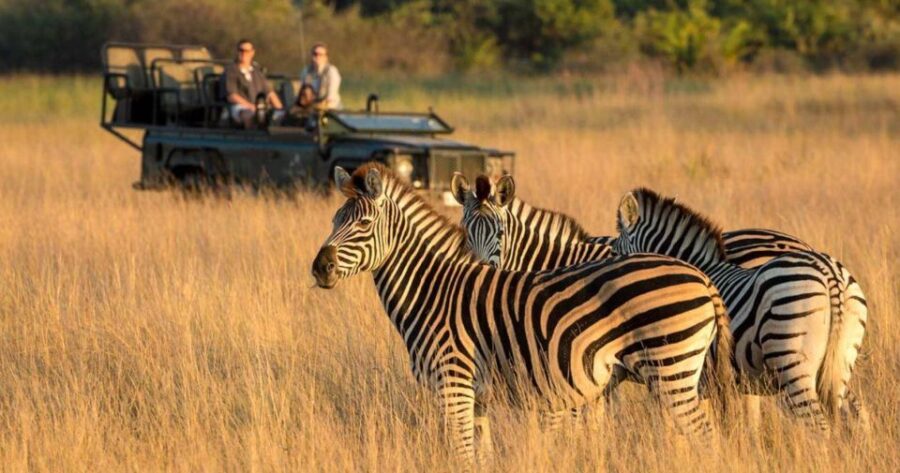 Half Day Tala Game Reserve & Natal Lion Pk Tour From Durban