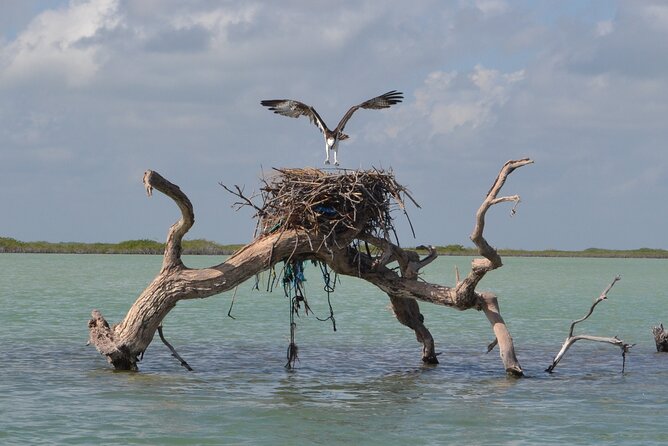Half-Day Tour Discovering Sian Ka'An With Lunch - Tour Overview