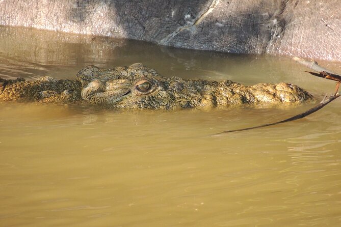 Half Day Tour in Isimangaliso Wetland Park - Tour Overview and Details