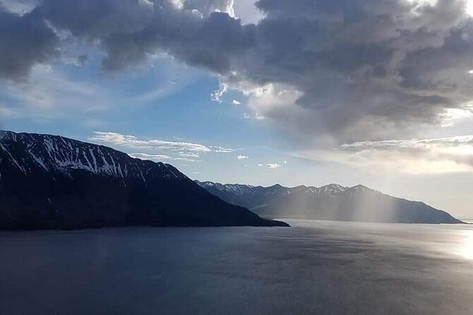 Half Day Tour in Turnagain Arm With Stop for Wildlife and Scenery