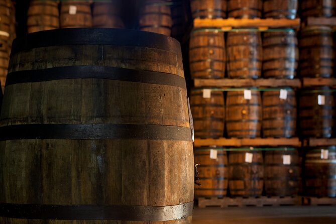 Half-Day Tour: Ron Barceló Factory Experience From Santo Domingo
