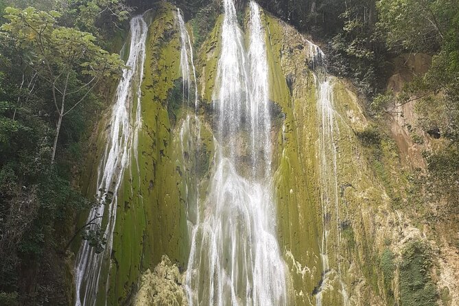 Half Day Tour to El Limón Waterfall With Lunch
