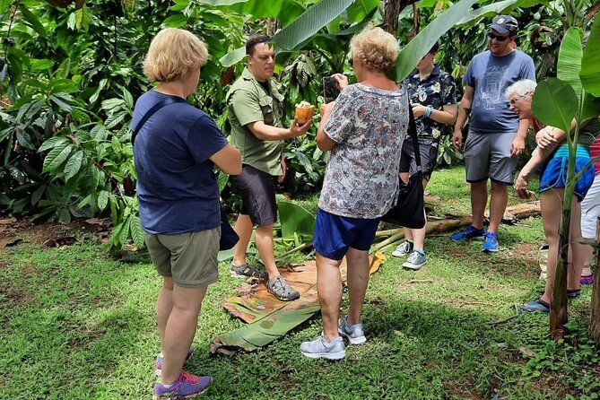Half-Day Tour With Safari Float and Chocolate Experience - Tour Overview