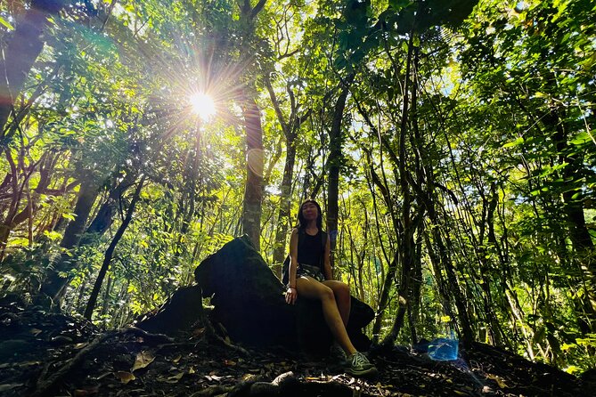 Half-Day Waterfall Tour - Hike, Scenic, Food and Photo - Tour Overview
