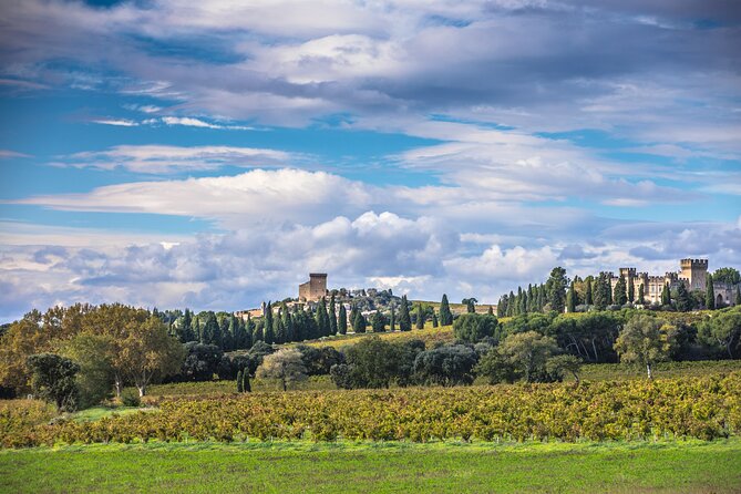 Half-Day Winery and Wine Tasting Guided Walking Tour - Inclusions and Amenities