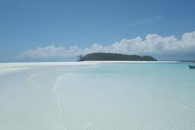 Half Day Zanzibar Mnemba Atoll Marine Reserve Snorkeling Tour - Tour Overview